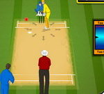 IPL Cricket 2013